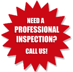 Bed Bug Inspection Service